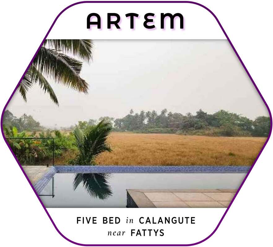 artem our five bed pool villa in calangute